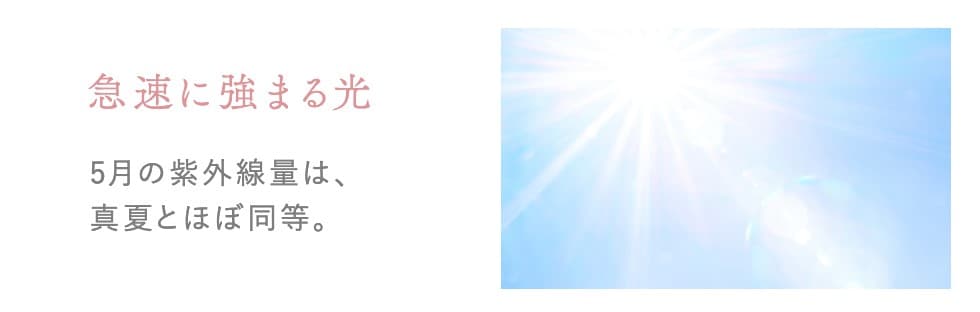急速に強まる光