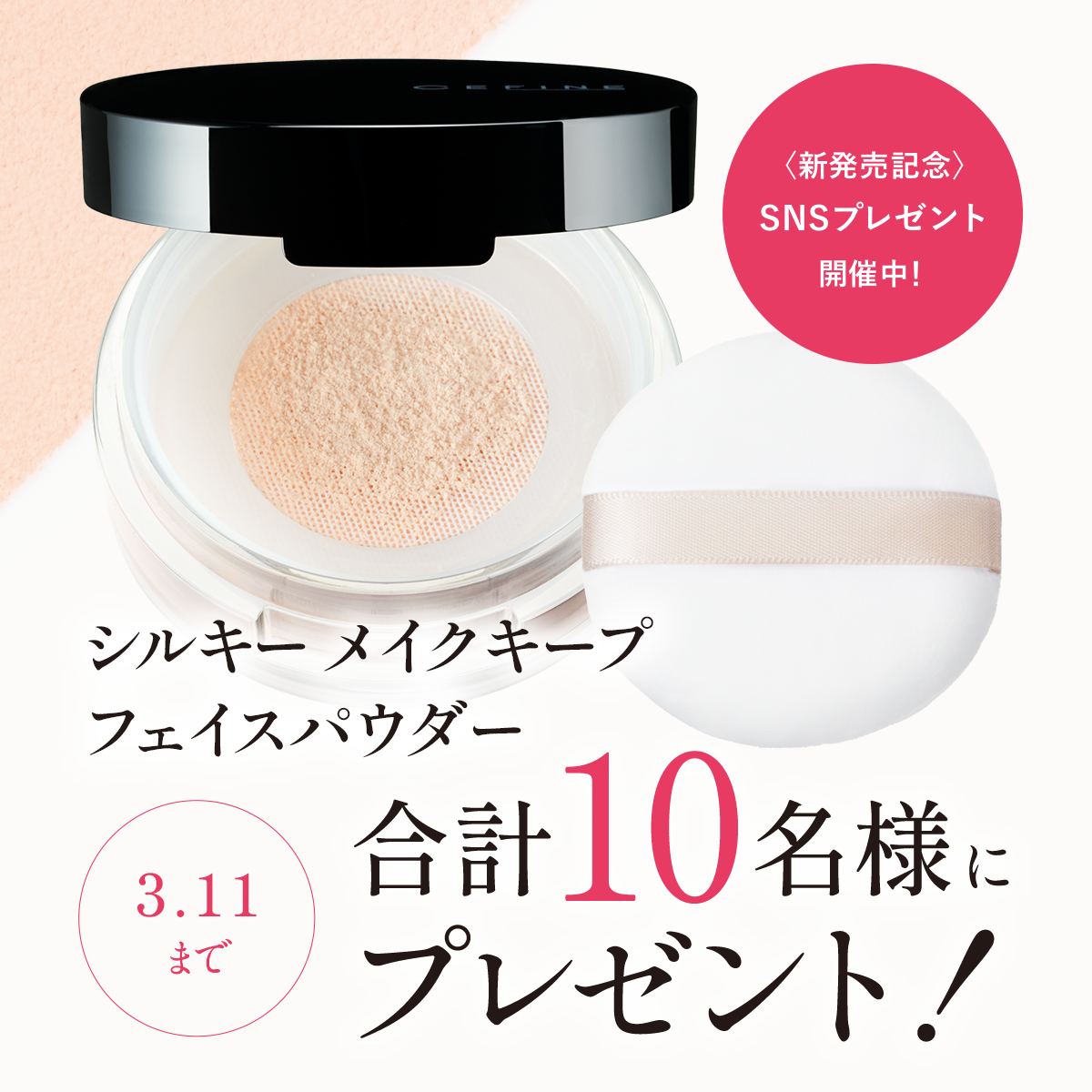 フェイスパウダー セフィーヌ シルキー メイクキープ SPF30 PA+++ 