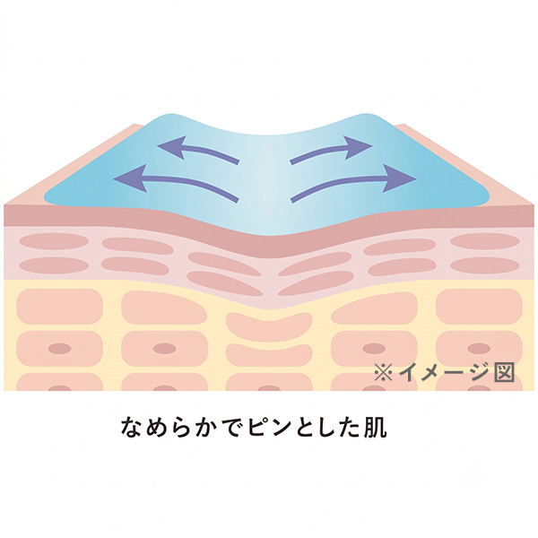 ふっくらハリ肌