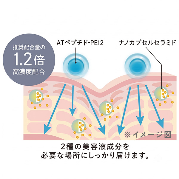 乾燥線・エイジングケア対策