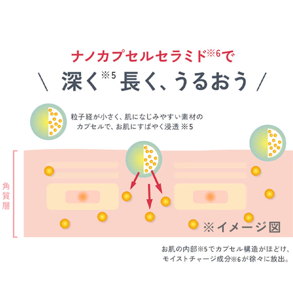 成分の持続力と浸透力