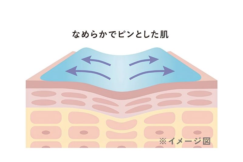 ふっくらハリ肌