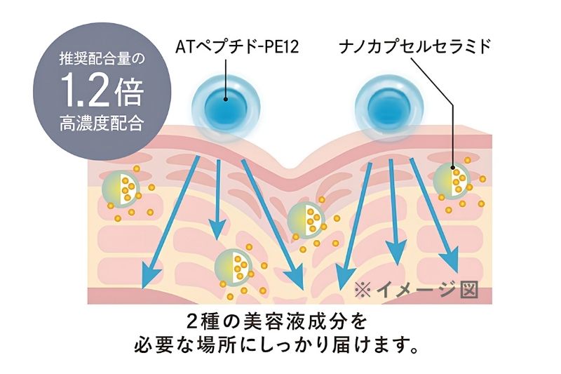 乾燥線対策