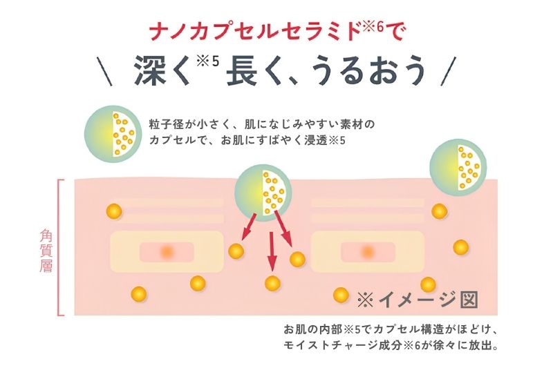 成分の持続力と浸透力