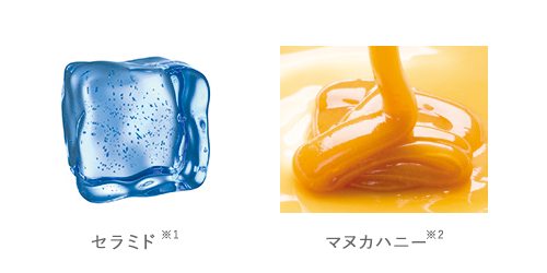 POINT 02 イメージ