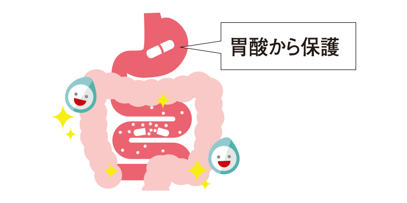 耐酸性カプセル