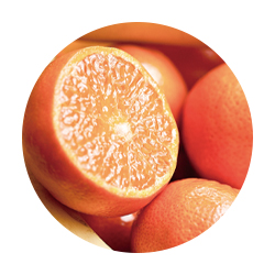 オレンジ果実エキス