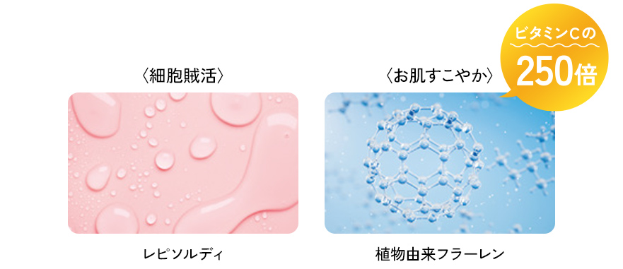 エイジングケア成分