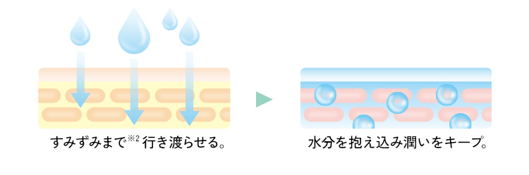 お肌のすみずみまで浸透