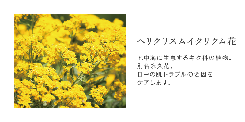 スキンフリーダムEX