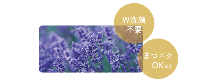 W洗顔不要