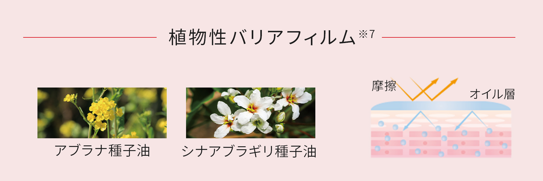 植物性バリアフィルム