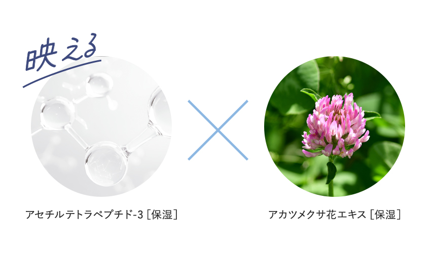 アセチルテトラペプチド×アカツメクサ花エキス
