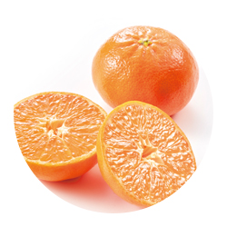 マンダリンオレンジ果皮エキス