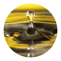 トコフェロール