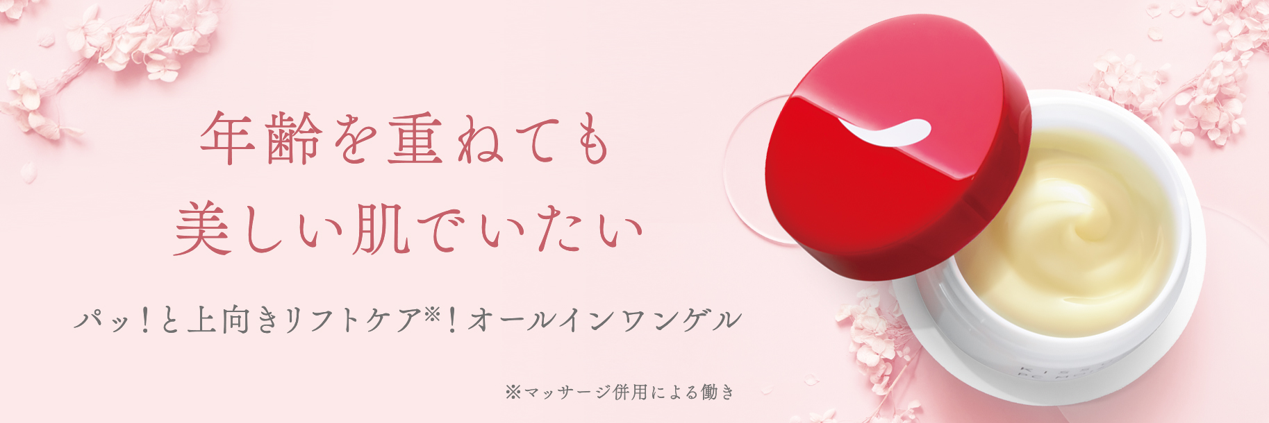PCモイスト