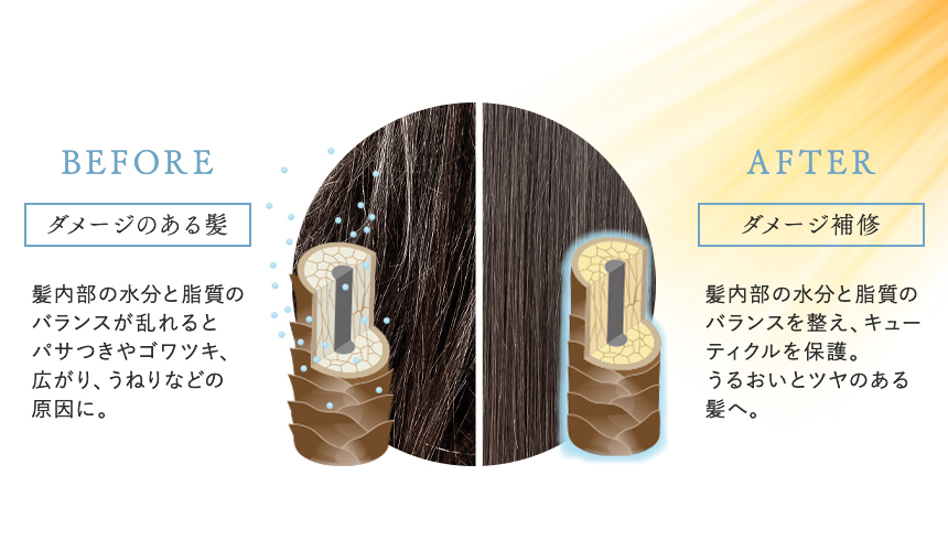 ダメージ補修