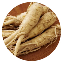 オタネニンジン根エキス